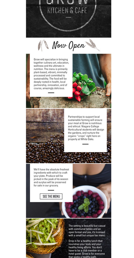 coffee email branding