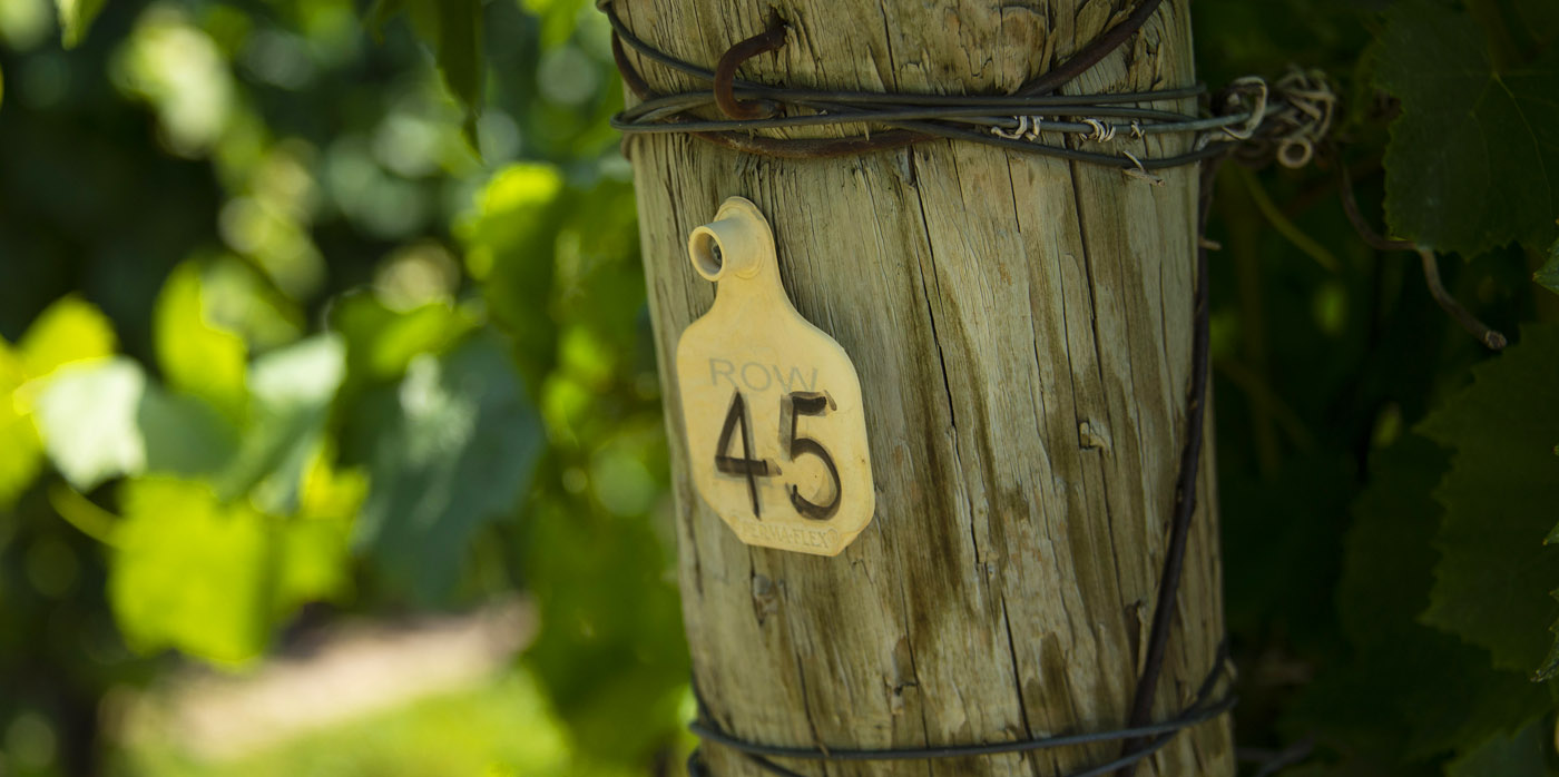 niagara on the lake wine