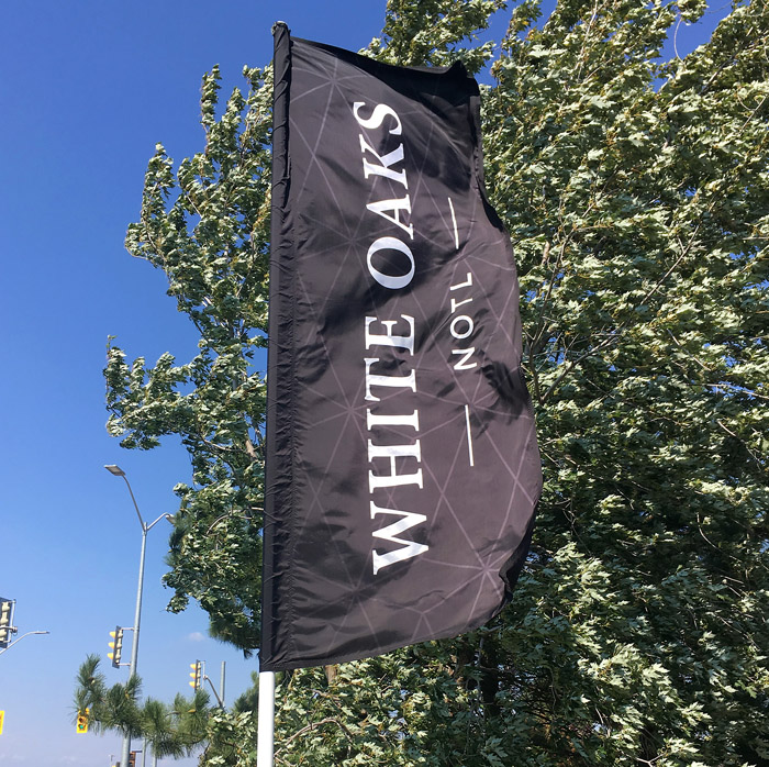 logo flag